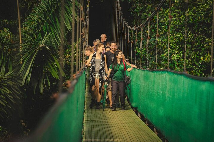 Monteverde Combo: Cable Car, Zipline, Hanging Bridges - Photo 1 of 17